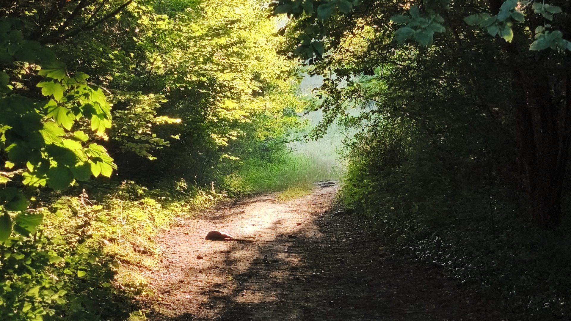 Grüne Weisheit erleben